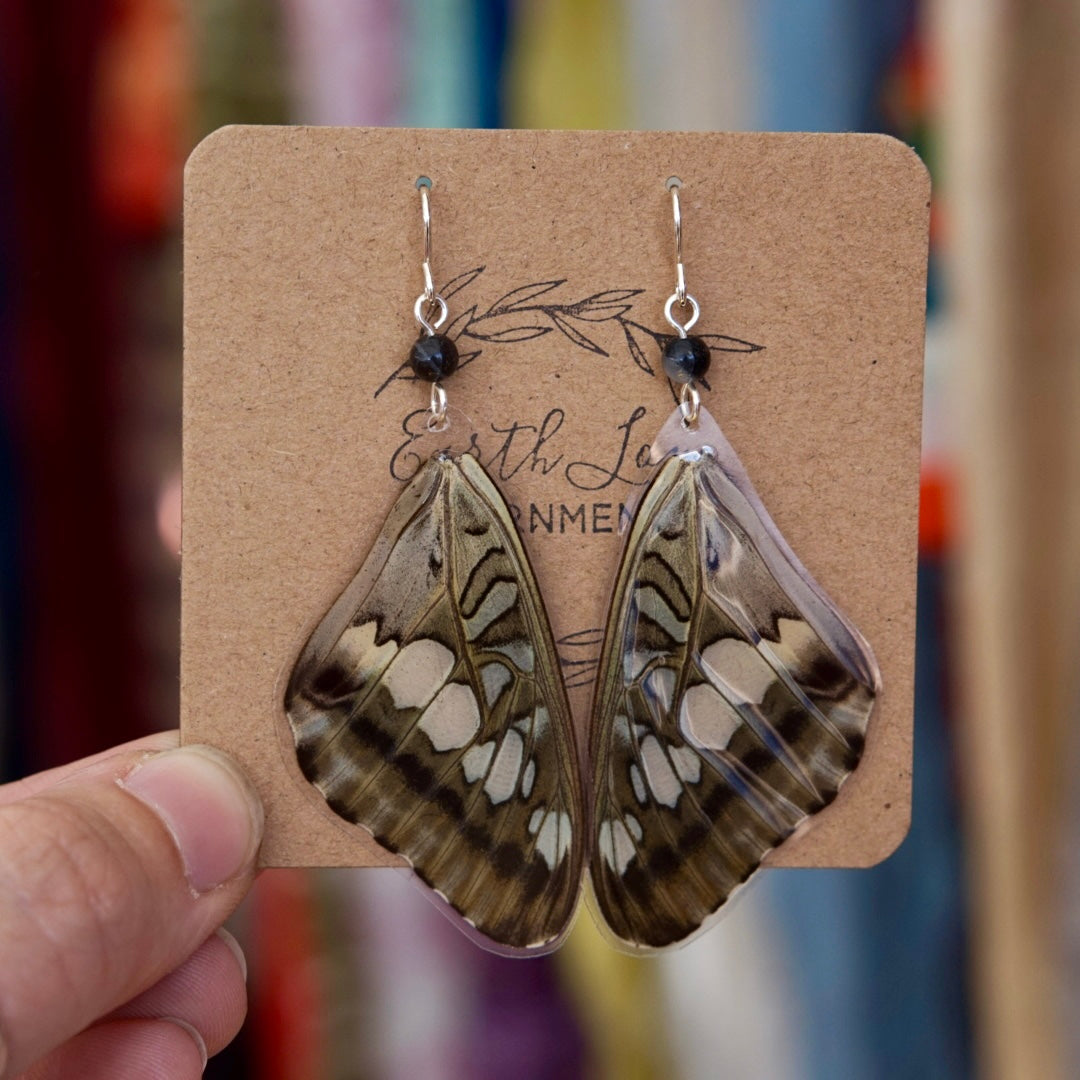 Real Butterfly Wings