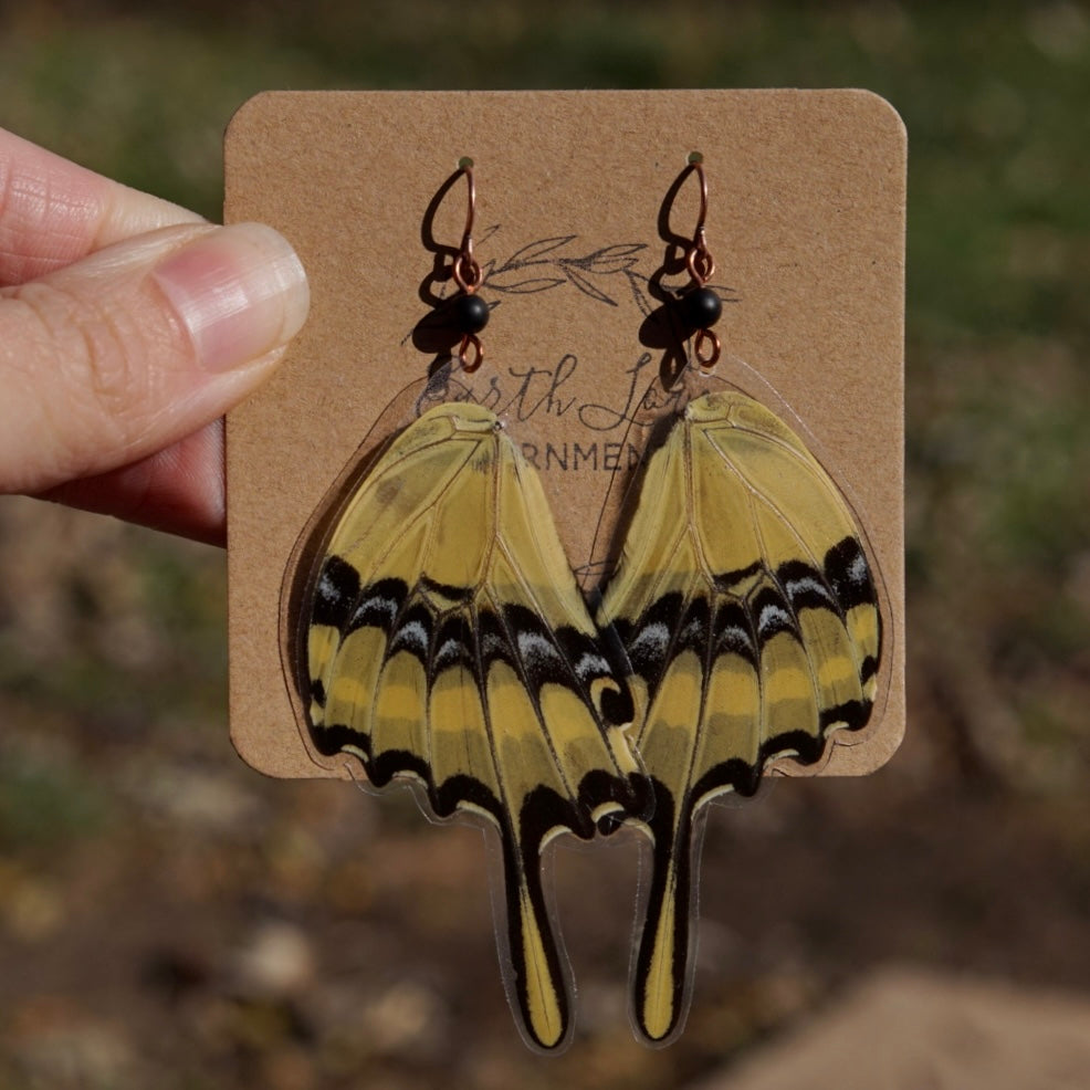 Real Butterfly Wings