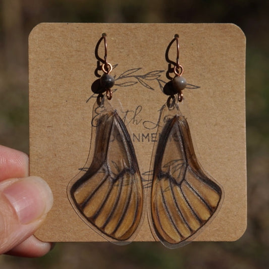 Real Butterfly Wings