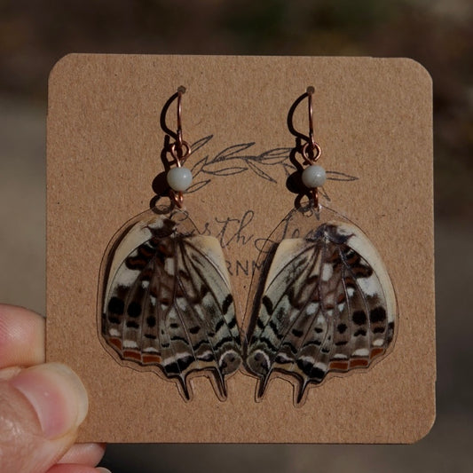 Real Butterfly Wings