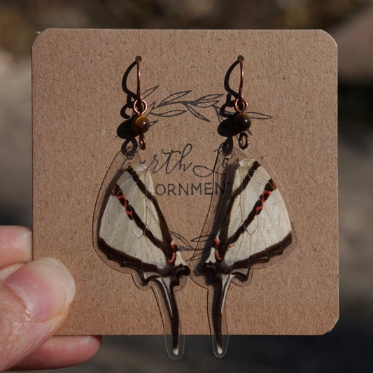 Real Butterfly Wings