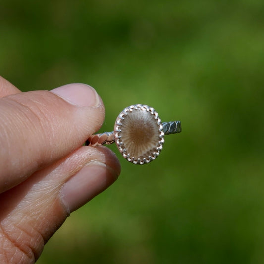 Petoskey Ring - Size 6