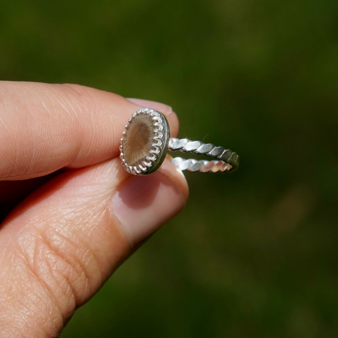 Petoskey Ring - Size 6